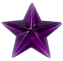 929 borboleta roxa 4,7.png